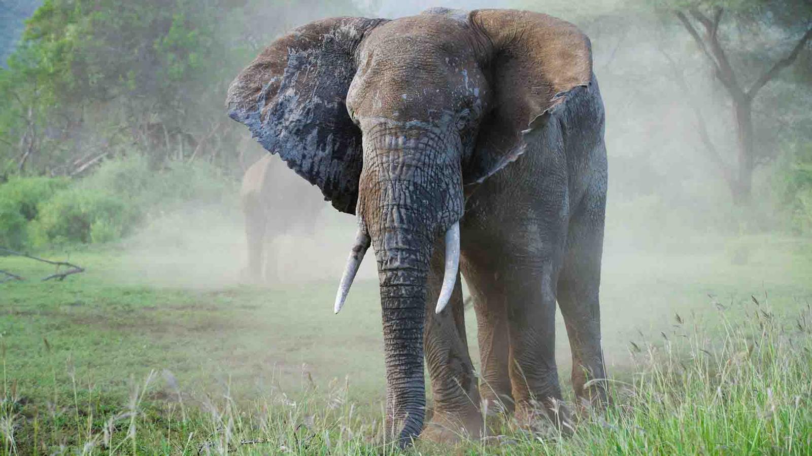 Selous Reserve | LAT.40