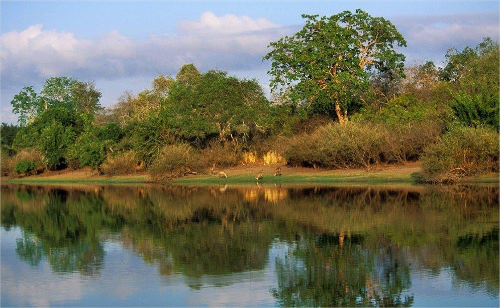 Imagen de viaje LAT.40