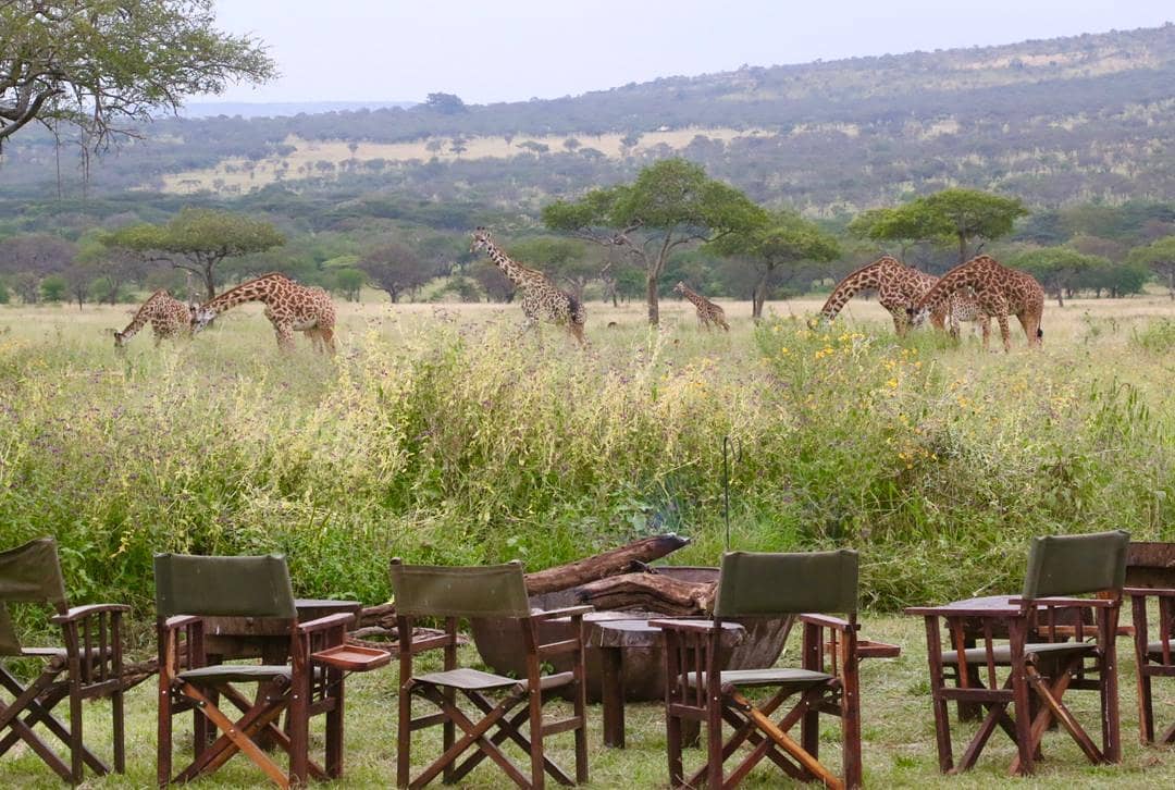 Asanja Moru en Serengeti