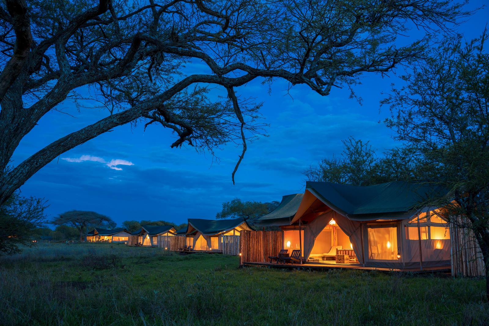 Asanja Moru en Serengeti