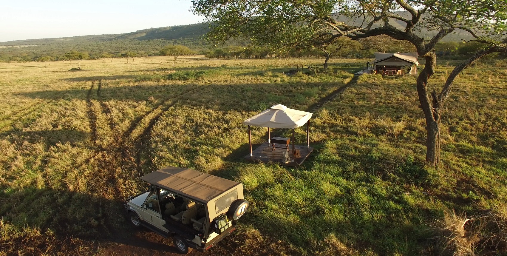 Asanja Moru en Serengeti