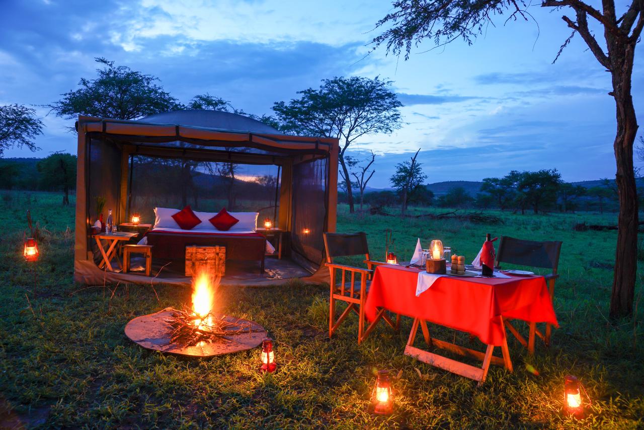 Asanja Moru en Serengeti