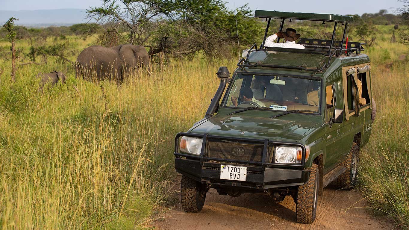 Serengeti Migration Camp en Serengeti