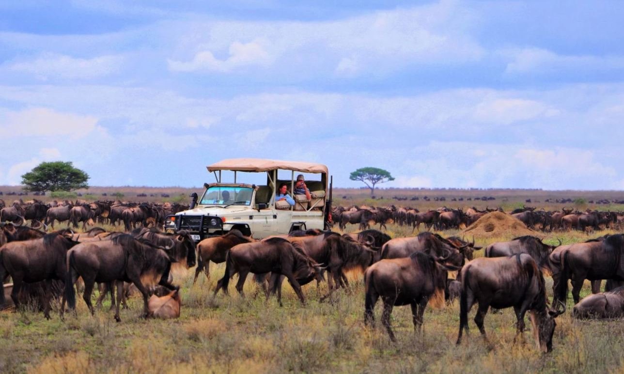 Serengeti Migration Camp en Serengeti