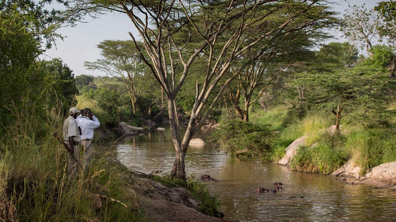 Serengeti Migration Camp en Serengeti