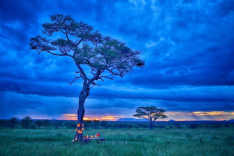 Pumzika Safari Camp en Serengeti