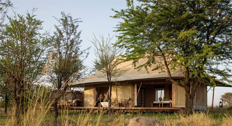 Sayari Camp en Serengeti