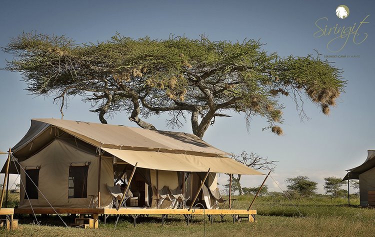 Siringit Serengeti Camp en Serengeti