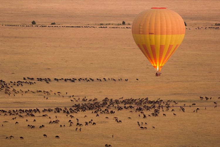 Siringit Serengeti Camp en Serengeti
