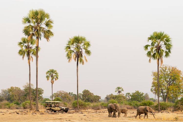 Puku Ridge en Luangwa Valley