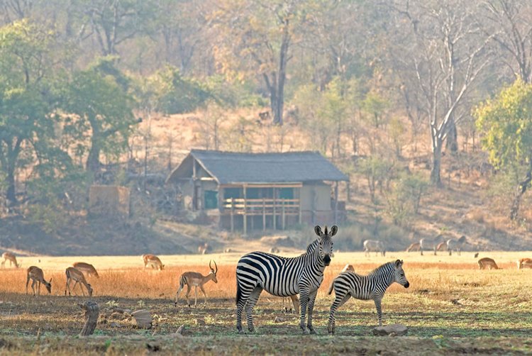 Puku Ridge en Luangwa Valley