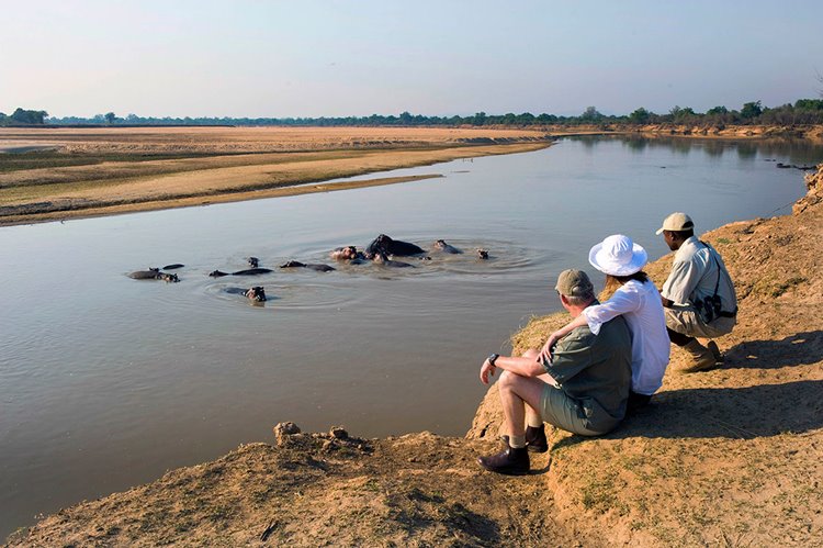 Puku Ridge en Luangwa Valley