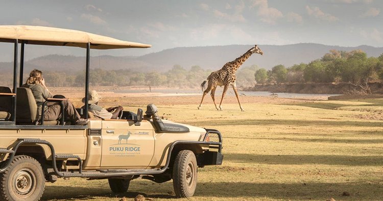 Puku Ridge en Luangwa Valley