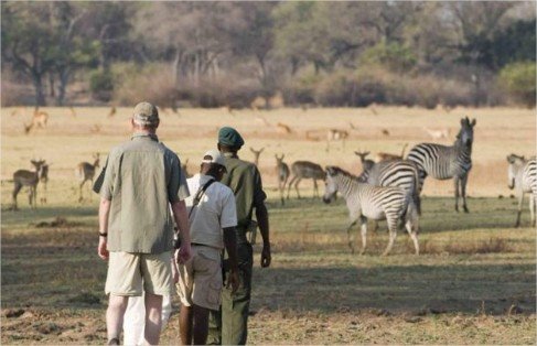 Puku Ridge en Luangwa Valley