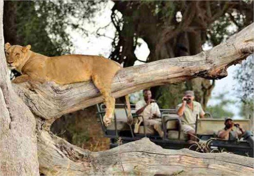 Puku Ridge en Luangwa Valley
