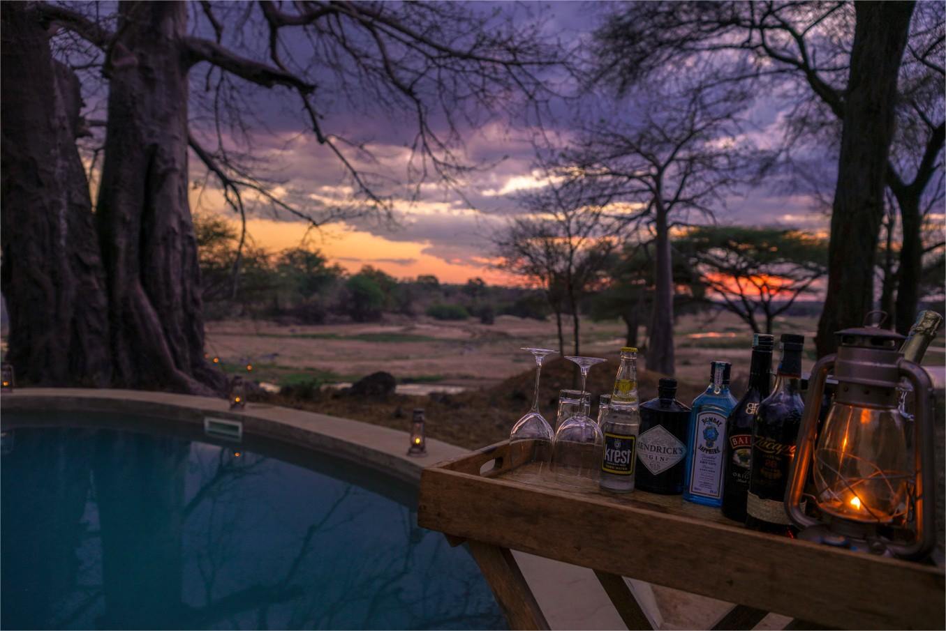 Asanja Ruaha Ndembo Camp en Ruaha