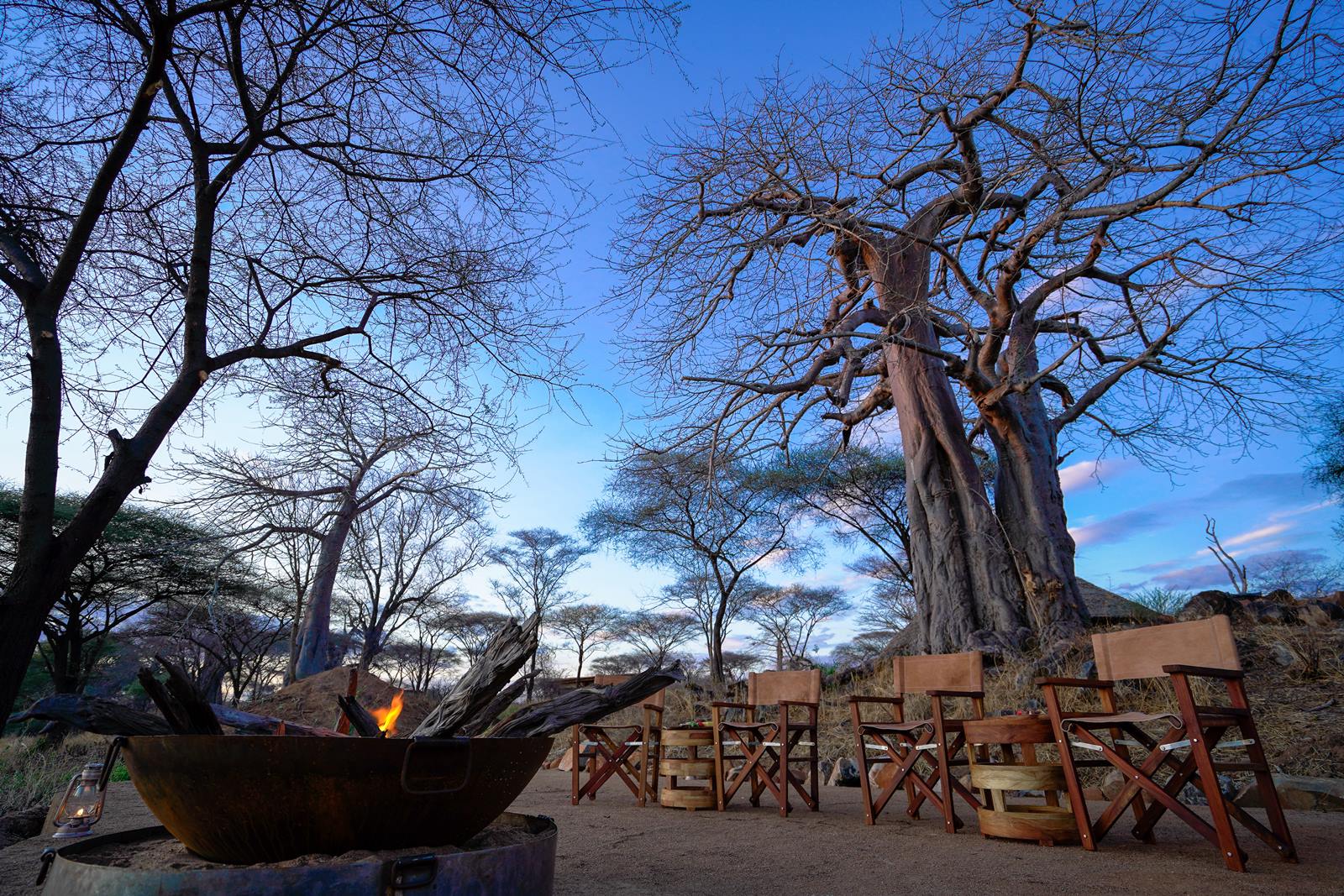 Asanja Ruaha Ndembo Camp en Ruaha