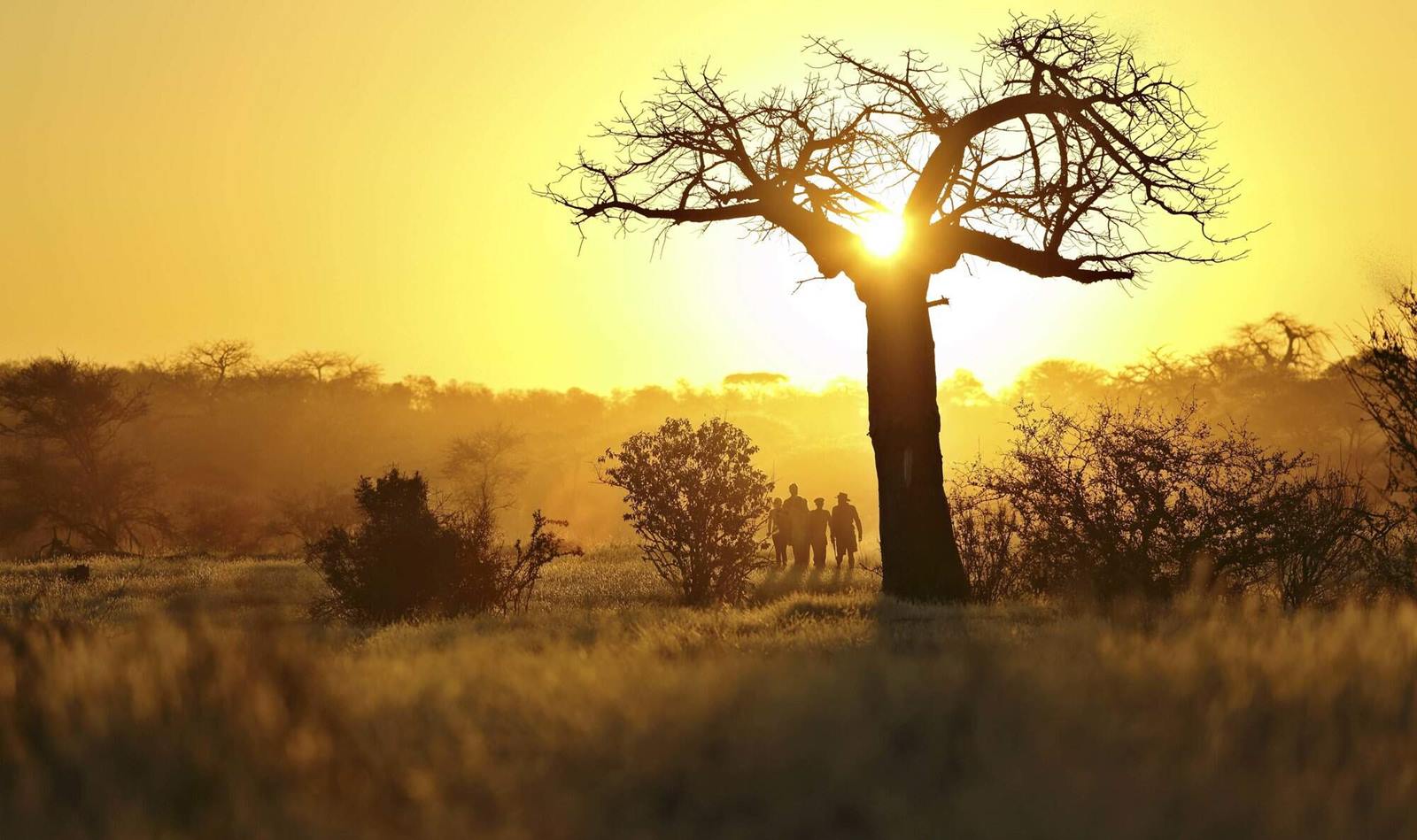 Asanja Ruaha Ndembo Camp en Ruaha