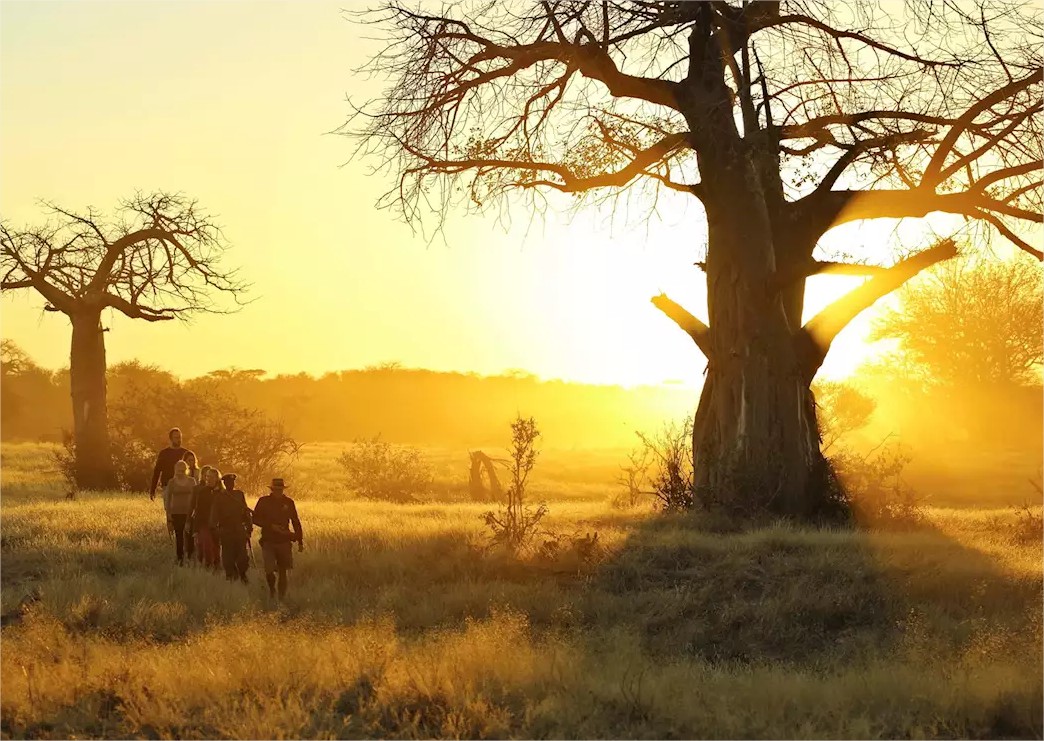 Asanja Ruaha Ndembo Camp en Ruaha