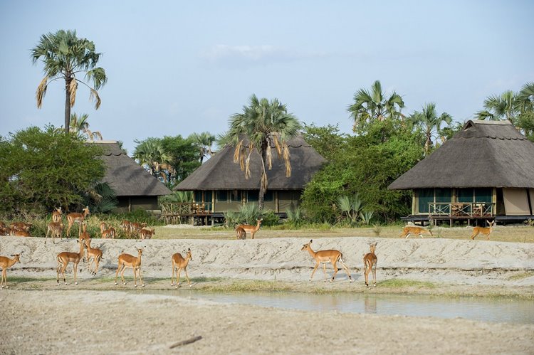 Maramboi Tented Lodge en Tarangire