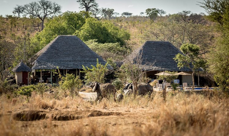 Nimali Camp Tarangire en su destino