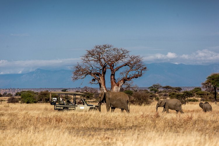 Nimali Camp Tarangire en Tarangire