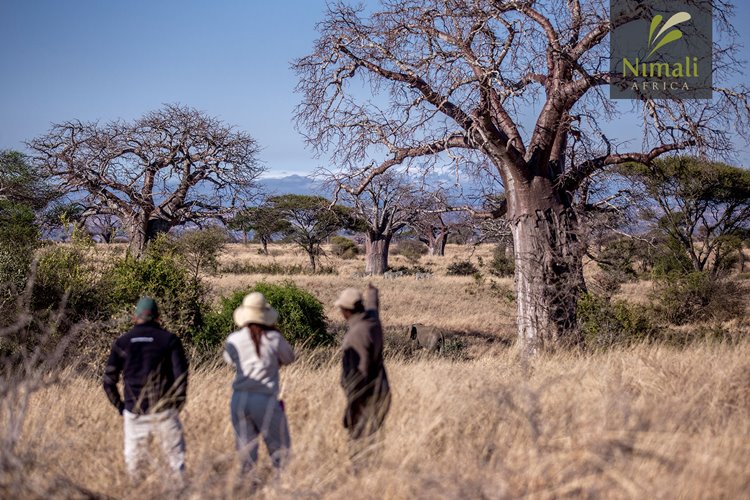 Nimali Camp Tarangire en Tarangire