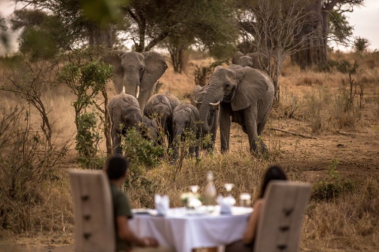 Nimali Camp Tarangire en Tarangire