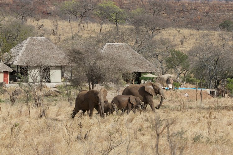 Nimali Camp Tarangire en Tarangire