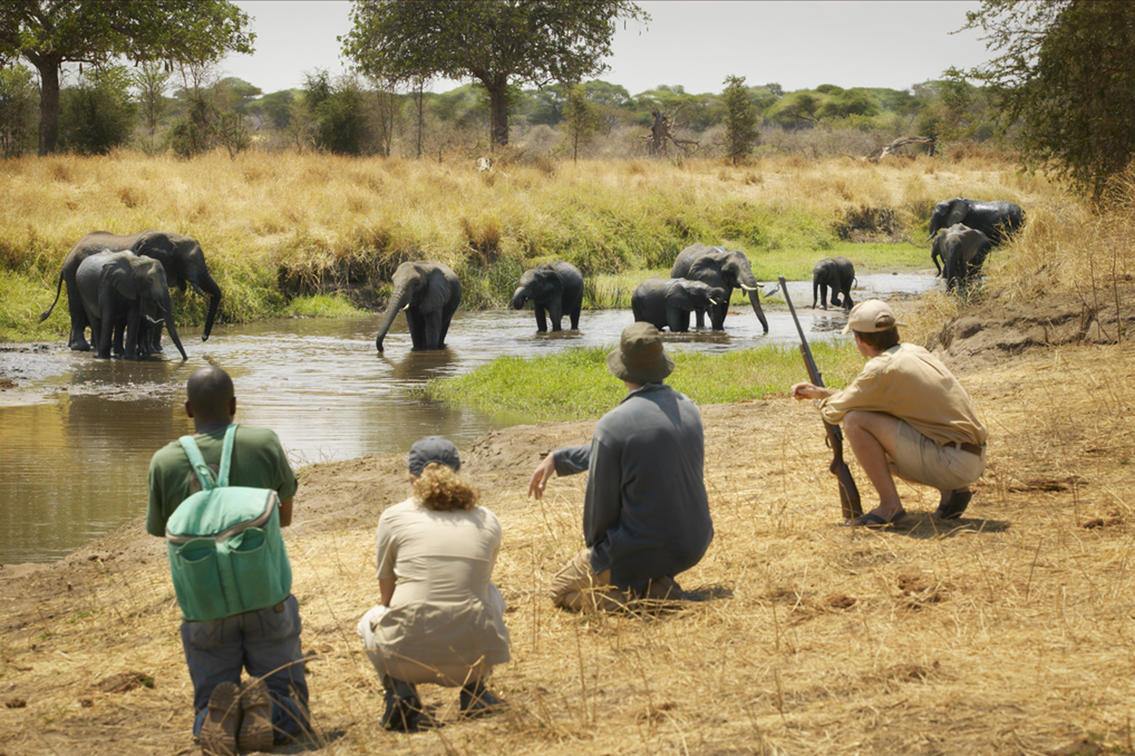 Olivers Camp en Tarangire