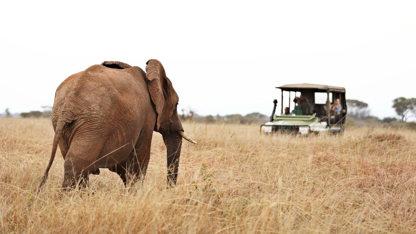 Olivers Camp en Tarangire