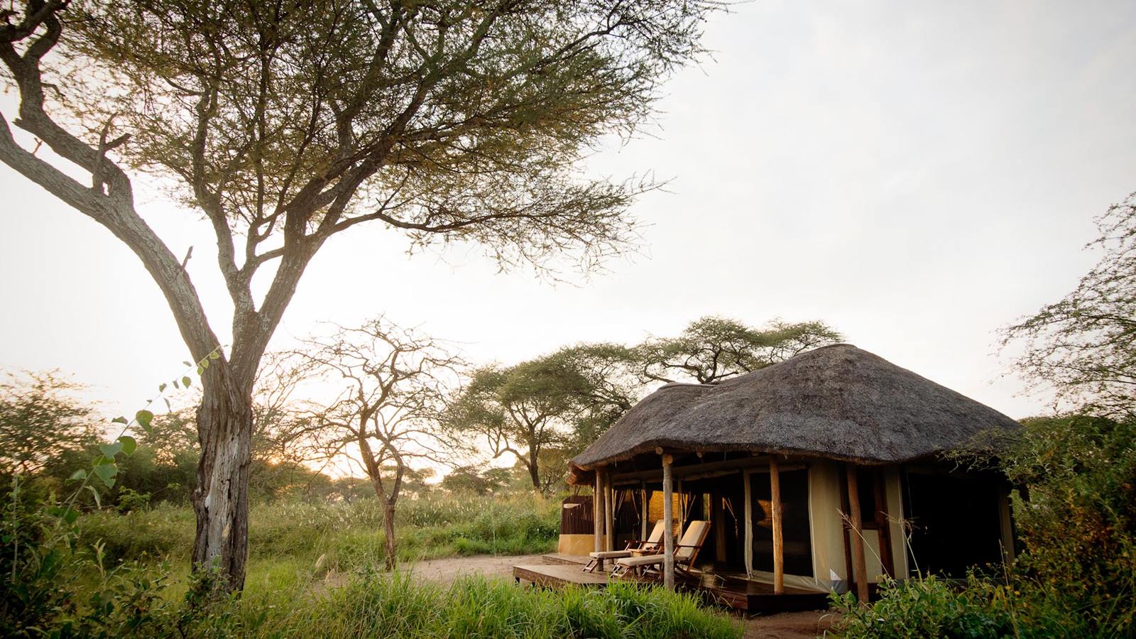 Olivers Camp en Tarangire