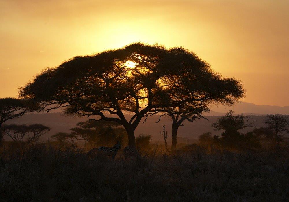 Olivers Camp en Tarangire