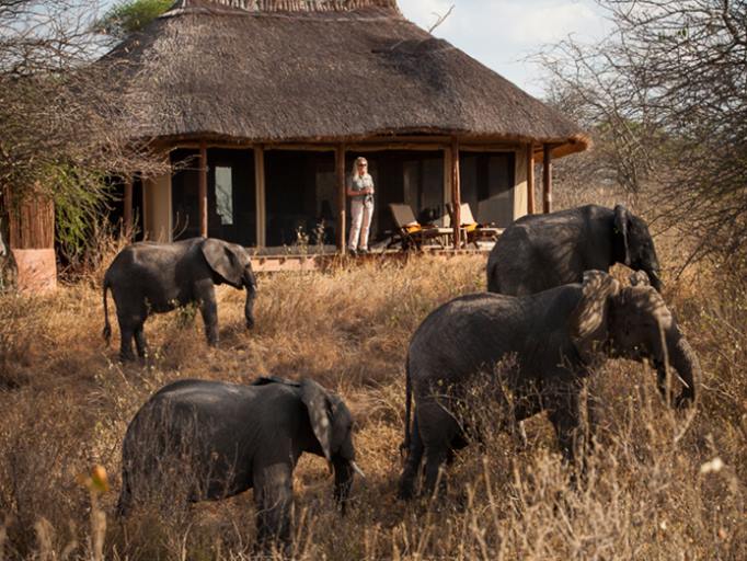 Olivers Camp en Tarangire