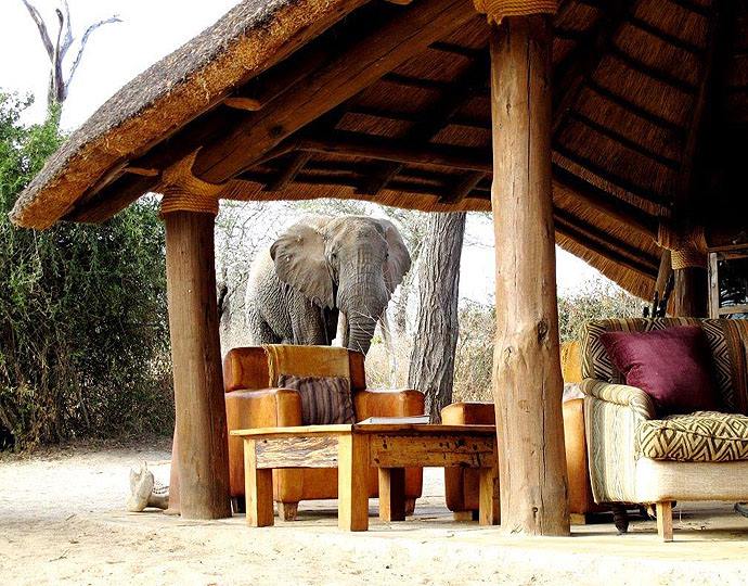 Olivers Camp en Tarangire