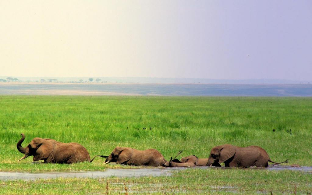 Olivers Camp en Tarangire