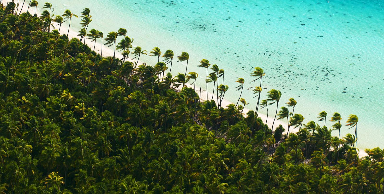 The Brando Resort en Tetiaroa