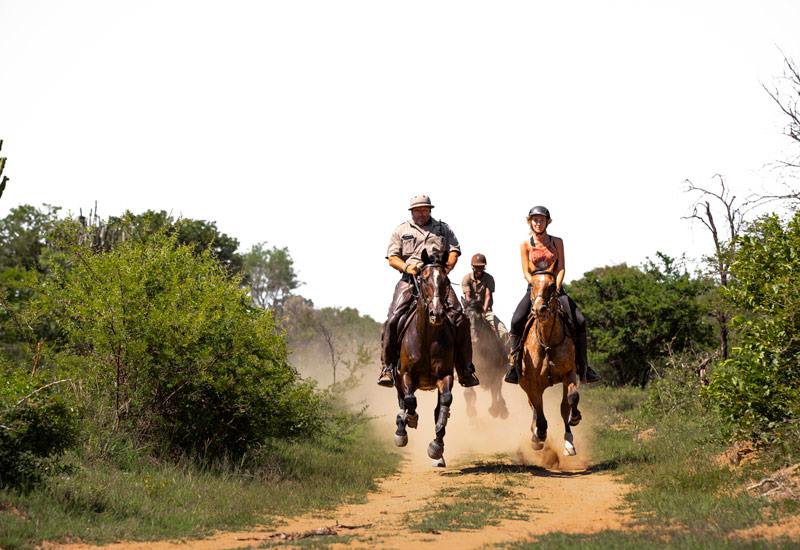 Ant Hill en The Waterberg