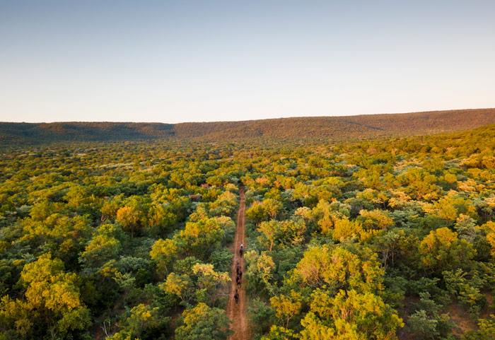 Ant Hill en The Waterberg