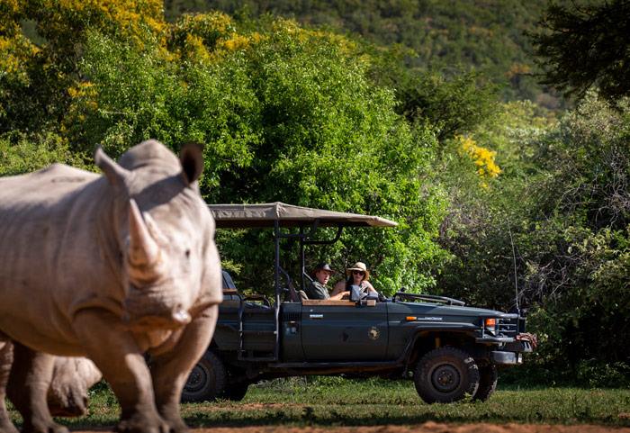 Ant Hill en The Waterberg