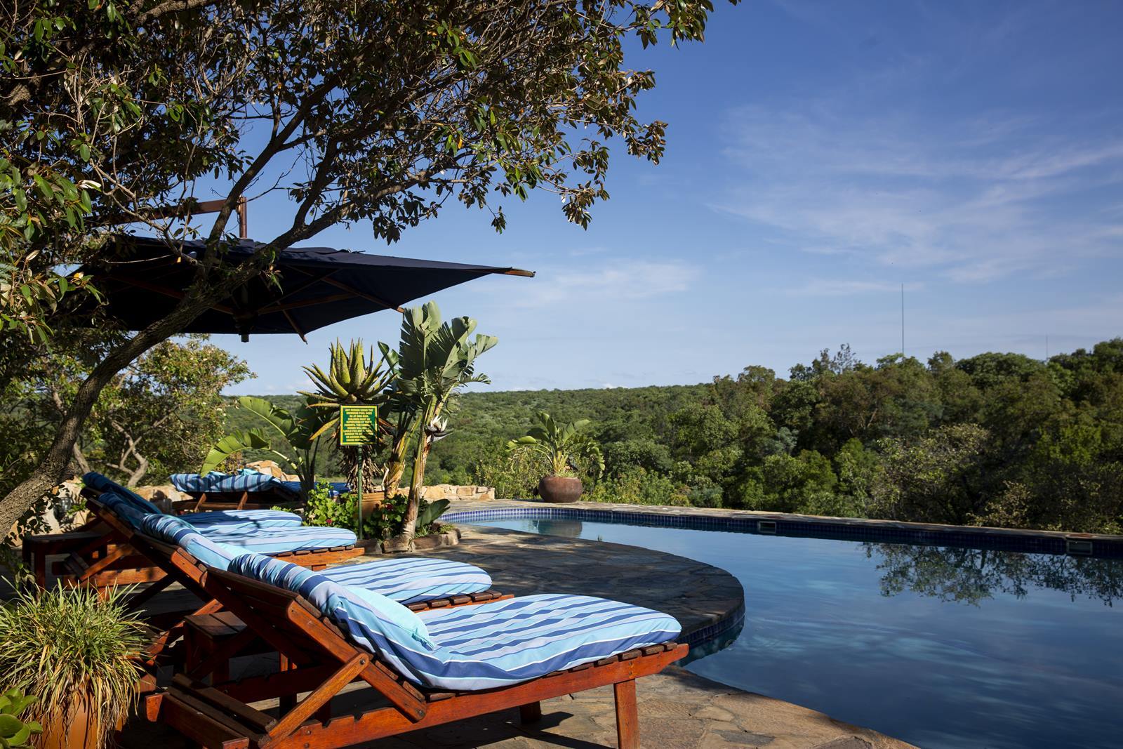 Ant Hill en The Waterberg