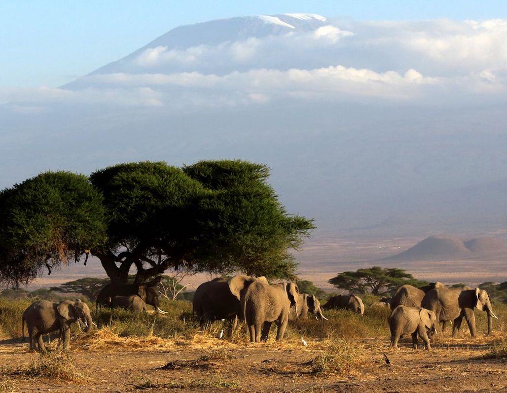 Tsavo West | LAT.40