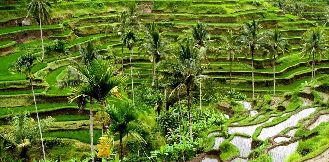 Imagen de viaje LAT.40