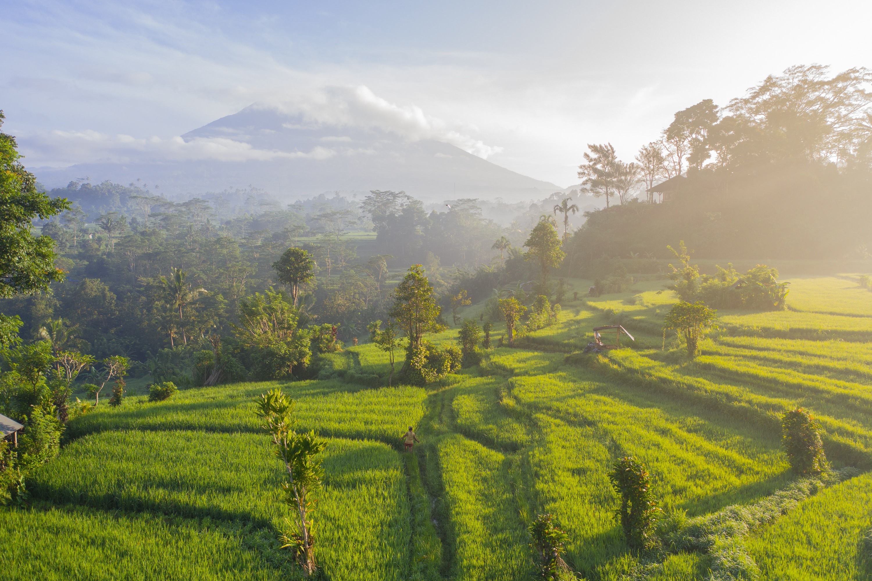 Ubud | LAT.40