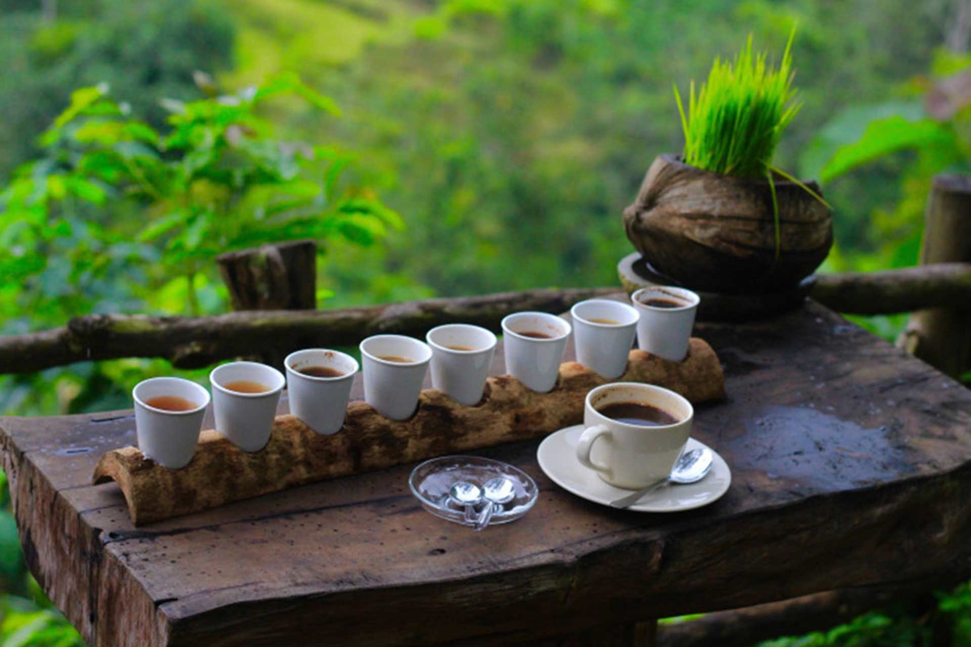 Ubud | LAT.40