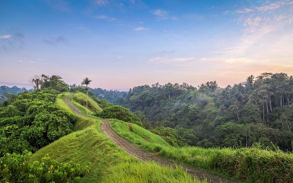 Ubud | LAT.40