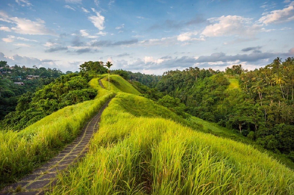 Ubud | LAT.40