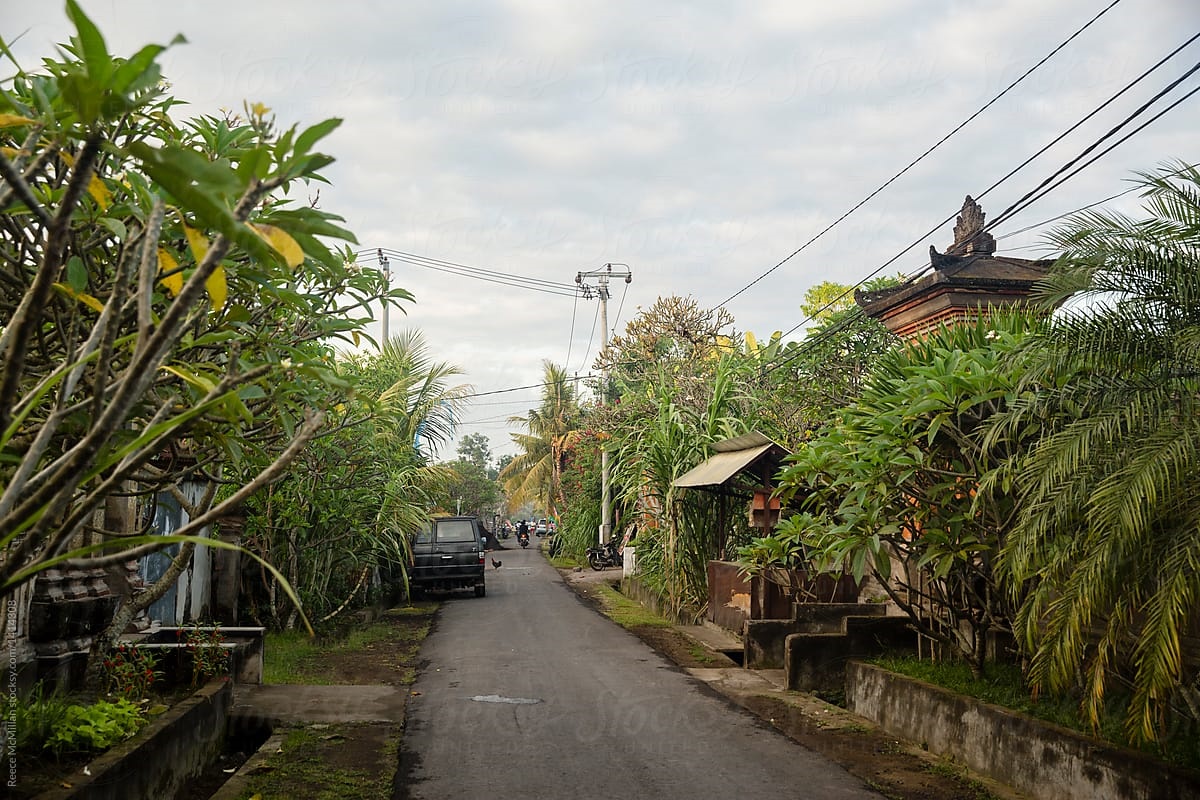 Ubud | LAT.40