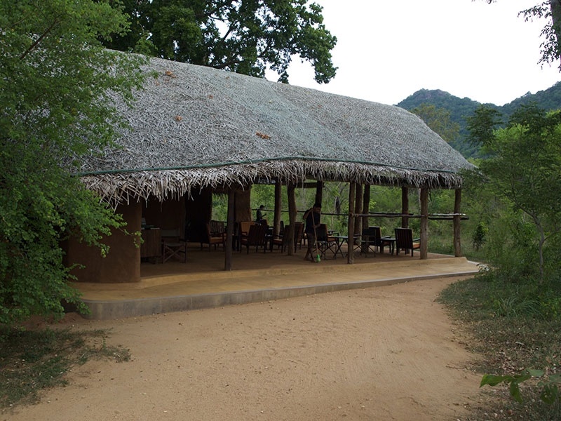 Tree Tops Jungle Lodge en Yala