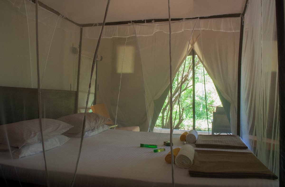 Tree Tops Jungle Lodge en Yala